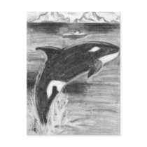 Orca Freedom Post Cards