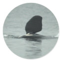 Orca Hello Stickers