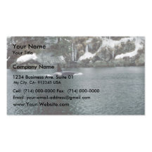 Orca in Prince William Sound Business Cards