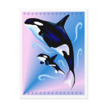 Orca Mum and Baby Postcard