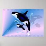 Orca Mum and Baby Print