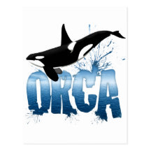 Orca Post Card