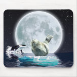 Orca, Seal & Wild Moon Gift Designs mousepads