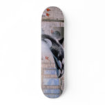 Orca skateboards