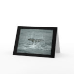 Orca Tail Slap Greeting Card