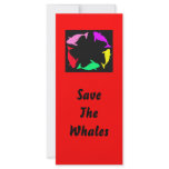 Orca Whale Circle in Five Colours rack cards