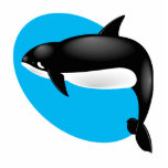 orca whale photo sculptures