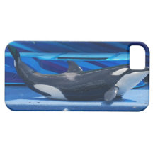 Orca Whale Showing Off iPhone 5 Case
