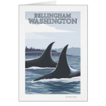 Orca Whales #1 - Bellingham, Washington Greeting Cards