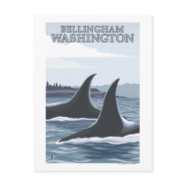 Orca Whales #1 - Bellingham, Washington Postcard