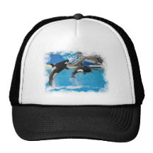 Orca Whales Baseball Hat