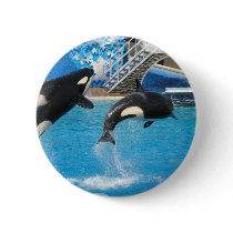 Orca Whales Pin