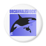 Orca Whales Rock! magnets