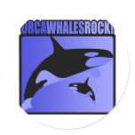 Orca Whales Rock! stickers