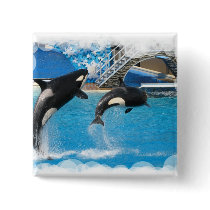 Orca Whales Square Button