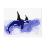 Orcas Killer Whales postcards