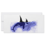 Orcas Killer Whales rack cards