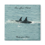 Orcas! magnets