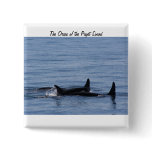 Orcas of the Puget Sound buttons