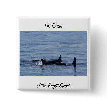 Orcas of the Puget Sound Button