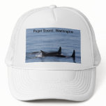 Orcas of the Puget Sound hats