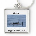 Orcas of the Puget Sound keychains