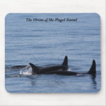 Orcas of the Puget Sound mousepads