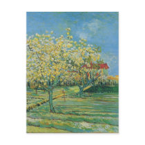 Orchard in Blossom, Vincent van Gogh Post Cards