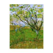 Orchard in Blossom, Vincent van Gogh Postcards