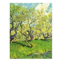 Orchard in Blossom Vincent van Gogh Postcards