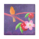 Orchard Oriole magnets