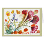 Orchid-27 Card