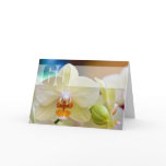 Orchid • 60th Birthday Card