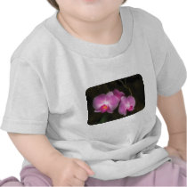 Orchid - Better in a set