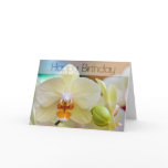 Orchid • Birthday Card