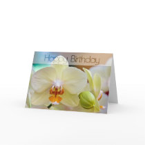 Orchid • Birthday Card