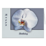 Orchid Blossom cards