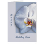 Orchid Blossom cards