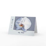 Orchid Blossom cards