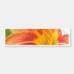 Orchid Bumper Stickers