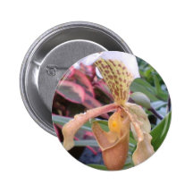 Orchid button