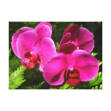 Orchid Gallery Wrapped Canvas