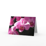 Orchid card