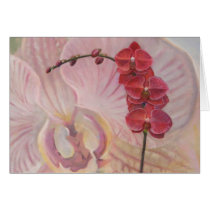 Orchid Greeting Card