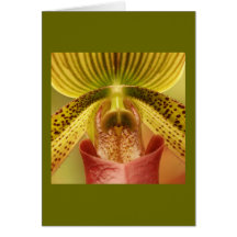Orchid Card