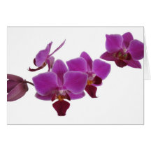 Orchid Card