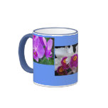 Orchid Colour mugs