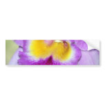 Orchid flower and meaning bumper stickers