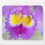 Orchid flower and meaning mousepads