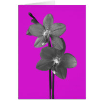 Orchid Flower Card